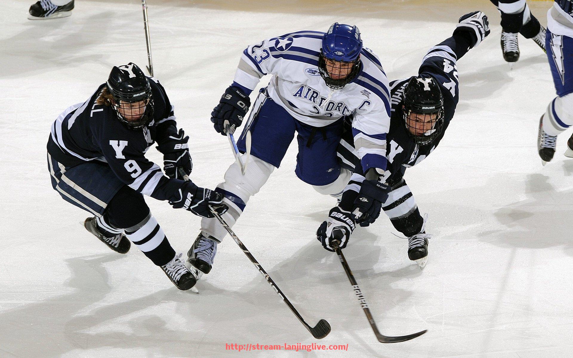 蓝鲸体育直播-欧冠毕尔巴鄂竞技俱乐部历年欧战数据汇总