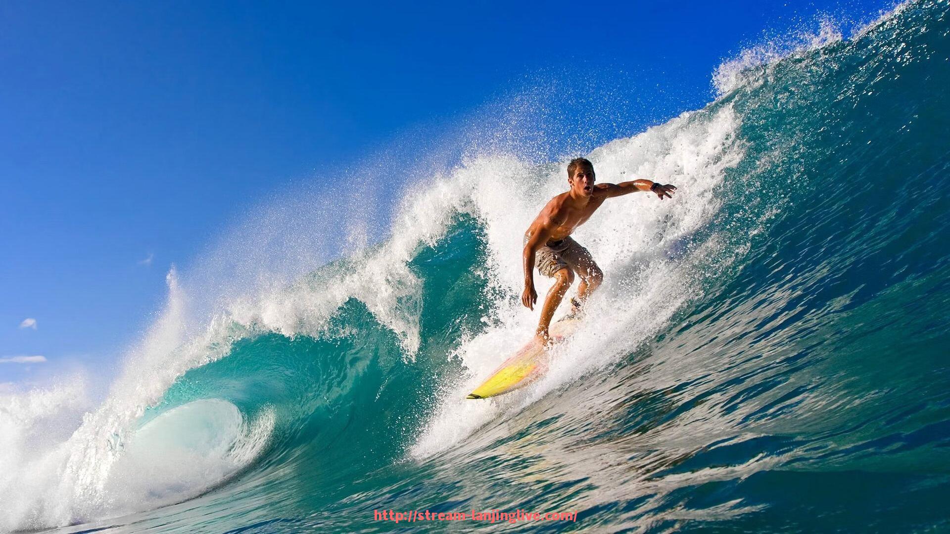 蓝鲸体育直播-淘宝平台上的健身器材店铺推荐及购物攻略